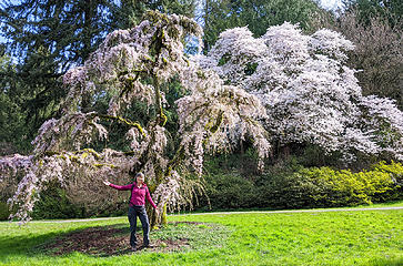 Seattle Arboretum walk