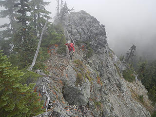 nearing Not Knox summit