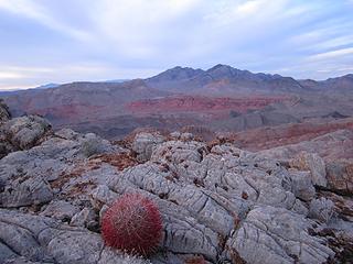 Lake Mead National Recreation Area.  Pinto Valley Wilderness, Nevada