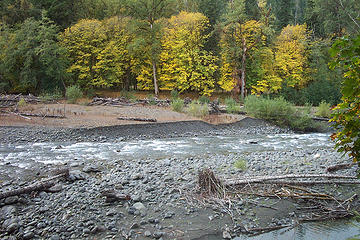 Elwha river