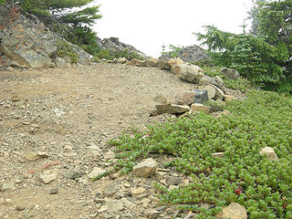 Great camping spot just below summit