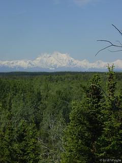 Mt. Hayes, Delta