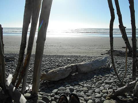 Kalaloch Beach 1 090722