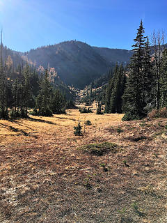 meadow between the lakes