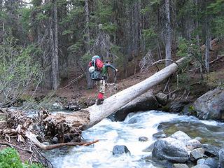 Going backup the Ingalls Creek log
