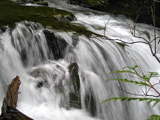 step down up close. 
Goat Lake hike, mtn loop Highway, WA, 6/19