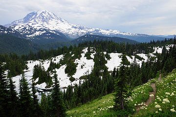 Mt Rainier and Beargrass along the trail.