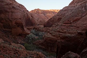 Looking back down Wrather Canyon