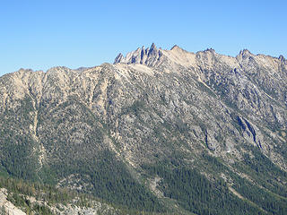 The needles.