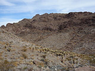 heading to the west ridge scramble