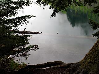 framed reflection. 
Goat Lake hike, mtn loop Highway, WA, 6/19