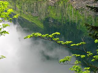 branch with reflection 
Goat Lake hike, mtn loop Highway, WA, 6/19