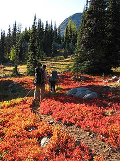 Hiking part of the Stiletto meadows way trail