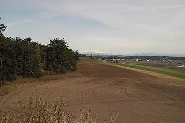 Ebey's Landing - Mt. Baker