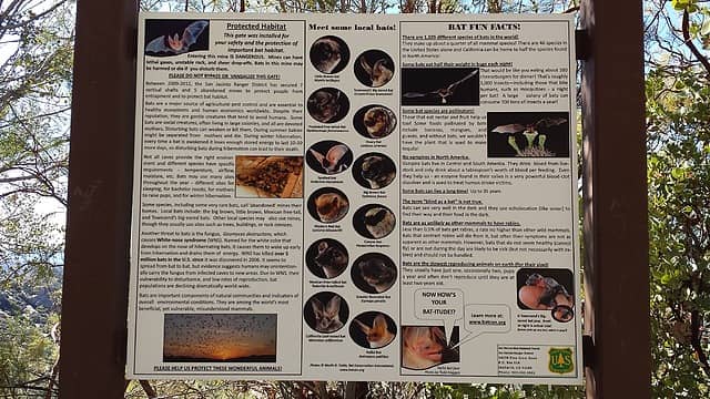 Bat sign