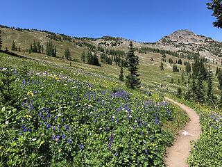 Slate Pass, Buckskin Ridge, Frosty Pass, PCT Loop, 8/12-8/19/20