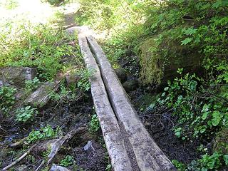 Planks over a particularly wet area of the trail