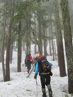 Misty winter woods hiking 2