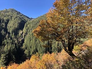 Perry Creek Falls Trail 10/10/19