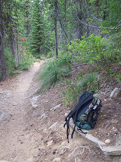 On the trail behind Walupt.