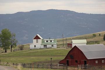 Buckhorn Mountain from West of Chesaw