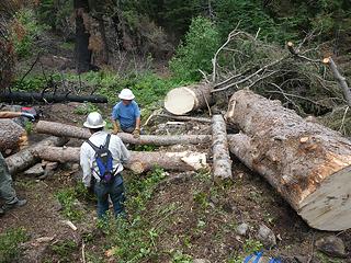 18. Log all the way across and near final resting position