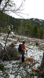 David (Opus) and Gus in the filed of avalanche debris
