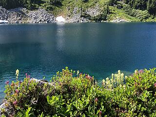 PCT south of Stevens Pass 8/4/20