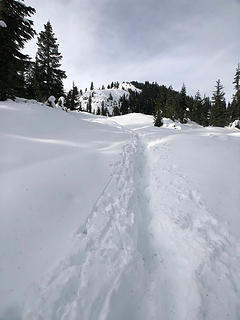 On the trail to Mt. McCausland 11/12/18