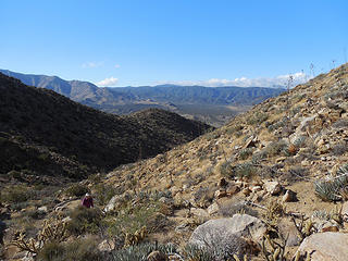 Getting higher up the wash