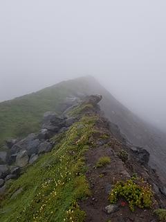 trail to camp