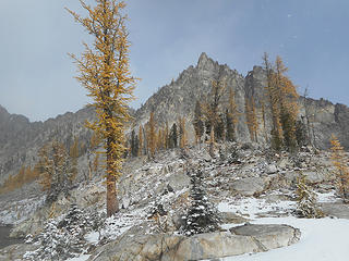 Fern Lake scene