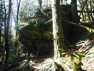 Glacial Erratic