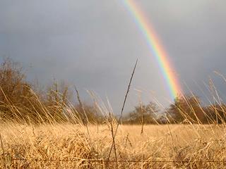golden slough and rainbow