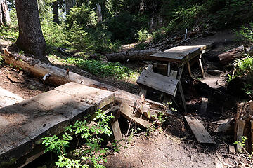 Tree vs bridge