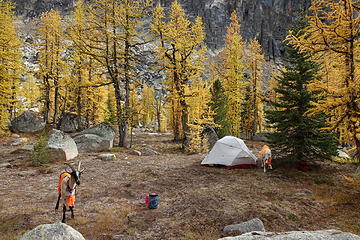 Upper Cathedral Lake camp, goats with their hunter orange vests on
