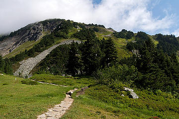 Looking up toward Sahale Arm.