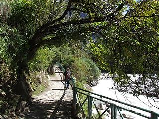 Trail to Ghangaria along the Hem Ganga