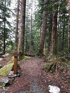 The Sultan River Canyon Trail 3/24/19