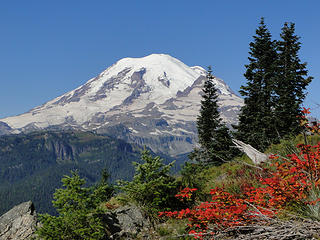 Views of Rainier with colors heading up Shriner Peak trail.
