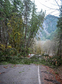 Bessemer Slide. Two more trees have fallen.