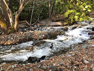 Twin Lakes Creek 5/3/19