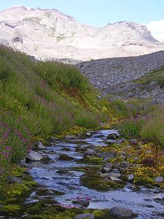 Stream, Flowers and Mountain