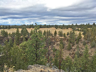 Riley meadow. 
Sawyer and Riley Ranch Bend OR