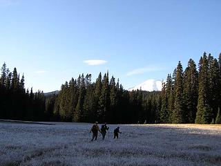 Lower Meadow - frost on the field