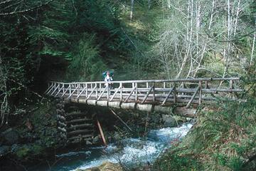 old Gray Wolf bridge, by Don Abbott