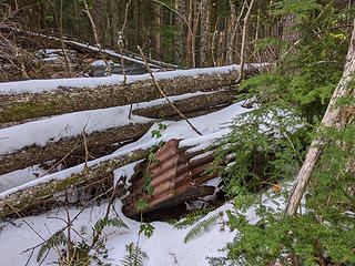 Small shack flattened under four trees that scored a direct hit when they came down.