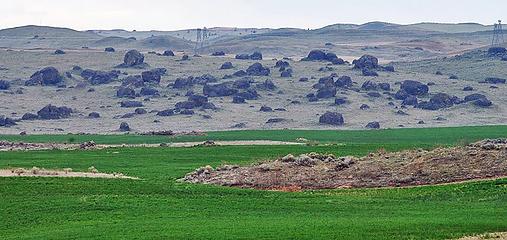 Perhaps the most spectacular assemblage of glacial erratics in North America, the  large boulders  were plowed out and deposited here by the Okanogan Lobe of the Cordilleran Ice Sheet. - Jim Nieland