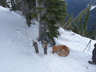 Shoe stop (and, lunch spot)