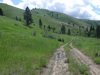 Wooten Wildlife Area - SE Washington, near Dayton, WA.